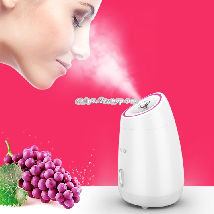 Maoer Fruit Vegetable Facial Face Steamer Household Spa Beauty Instrument Thermal Nano Spray Water Whitening Face Steamer Machine