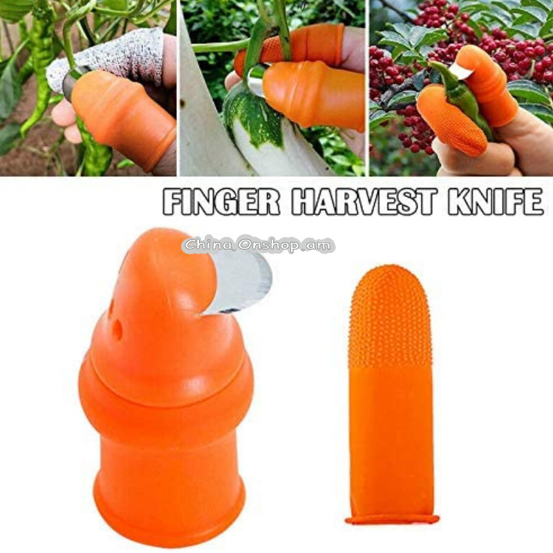 Picker Picking Vegetables Iron Nail Clippers Picking Beans Carob Thumb Knife Scimitar