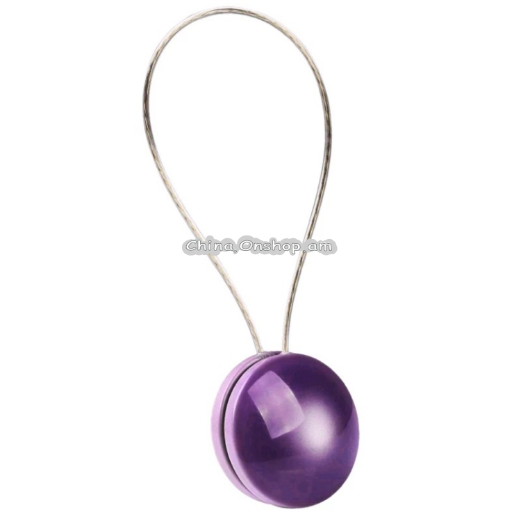 2 PCS Fashion Cat Eye Resin Steel Wire Magnet Curtain Buckle Tie Rope(Purple)